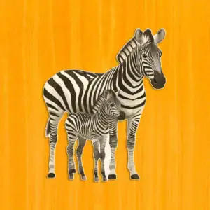 Familie de zebre migratoare - Puzzle din lemn 2