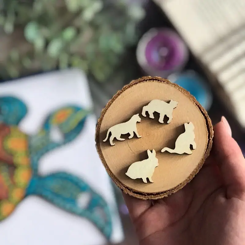 Puzzle de lemn - Broască țestoasă 8 Puzzle de lemn - Broască țestoasă 8